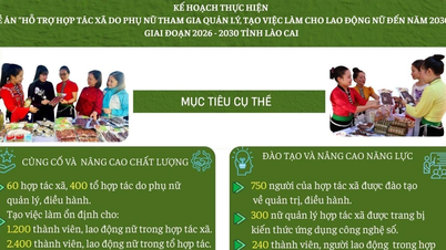 [Infografika] A Lao Cai tartományban működő nők által vezetett szövetkezetek támogatására irányuló projekt megvalósítási célkitűzései, 2026-2030