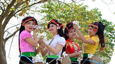 ការកំណត់អត្តសញ្ញាណ និងការប្រយុទ្ធប្រឆាំងនឹងទស្សនៈមិនពិត និងអរិភាព ដែលធ្វើឱ្យប៉ះពាល់ដល់វិស័យវប្បធម៌ និងមនុស្សជាតិ។