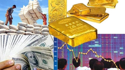 حکومت نے 2026 کے لیے مانیٹری اور مالیاتی پالیسی کے حوالے سے اہم کاموں کا ایک سلسلہ تفویض کیا ہے۔