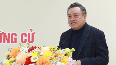 Encik Tran Sy Thanh telah dicalonkan oleh pengundi untuk bertanding bagi jawatan wakil Dewan Undangan Negeri.