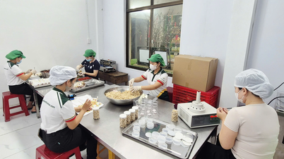 Vietnamese producten verstevigen hun positie op de Tet-markt.