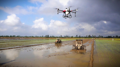 Om de landbouw in Quang Tri echt groen en duurzaam te maken.
