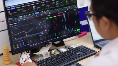 Vooruitzichten voor de aandelenmarkt in de nieuwe week: Wat zal de VN-index doen vóór het Tet-feest?