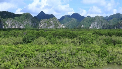 Hai Phong versnelt de groene transformatie om een ​​concurrentievoordeel te behalen.