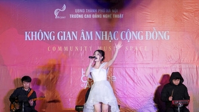 ភ្លេងស្វាគមន៍និទាឃរដូវបានបន្លឺឡើងនៅកណ្តាលទីក្រុងហាណូយ។