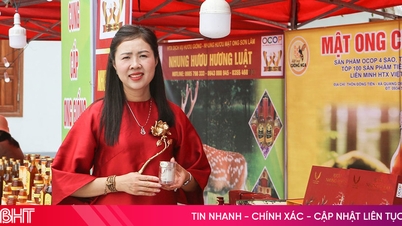 Gjør deg klar for vårreiser til kulturelle og spirituelle turistmål i Ha Tinh.