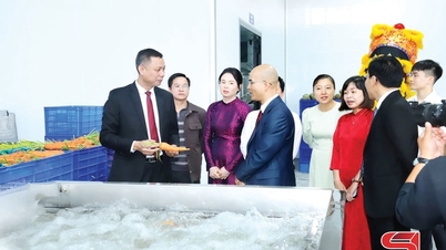 ការទាក់ទាញការវិនិយោគ៖ ជា «កម្លាំងជំរុញ» ដើម្បីជំរុញសេដ្ឋកិច្ចរបស់ខេត្ត Son La ឲ្យសម្រេចបាននូវភាពជោគជ័យ។