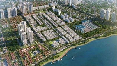 Nel quarto trimestre del 2025, gli utili di IPA Investment sono diminuiti del 62,5%, attestandosi a 55,51 miliardi di VND.