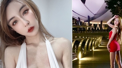 휴대전화에 나체 사진이 있다는 이유로 관광객의 입국이 거부되었습니다.