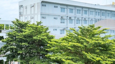La Universidad de Economía y Derecho anuncia la fórmula de admisión integral para el año 2026.
