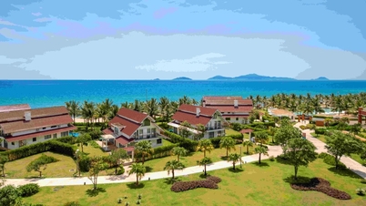 Een bank verkoopt 20 appartementen in Da Nang, met een startprijs van 1 miljard VND per stuk.