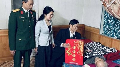 ハイフォン市退役軍人協会は、会員にテト（旧正月）支援を提供するために3億9000万ドン以上を動員した。
