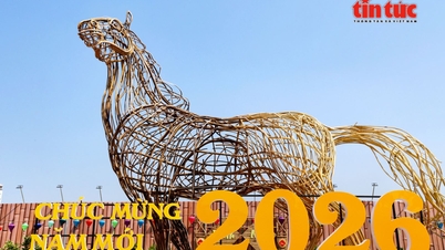 Cidade de Ho Chi Minh: Cavalo gigante de 8 metros de altura surge em terreno nobre na Rua Tran Phu.