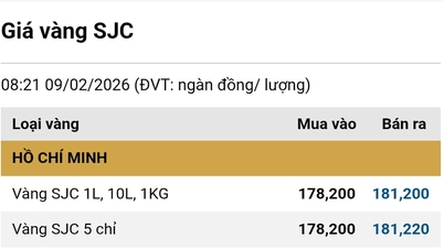 Цены на золото 9 февраля 2026 года: цены на золотые кольца SJC и кольца из золота 9999 пробы выросли в соответствии с мировыми ценами на золото.