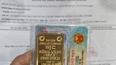 Le matin du 9 février, les prix des lingots d'or SJC et de l'argent Phu Quy ont fortement augmenté.
