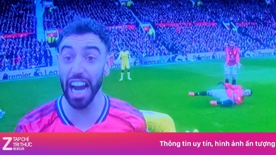 Fernandes' pressing of the referee caused a stir.