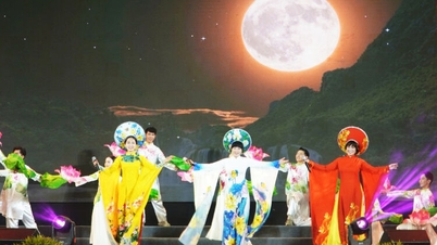 Das Festival zur Feier des 290. Jahrestages der Gründung von Tao Dan Chieu Anh Cac fand vom 1. bis 3. März statt.