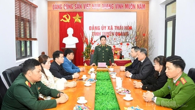 De commandant van het provinciale militaire commando, Lai Tien Giang, bezoekt de gemeente Thai Hoa en brengt haar nieuwjaarsgroeten over.