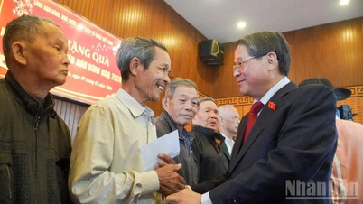 O vice-presidente da Assembleia Nacional, Nguyen Duc Hai, visita Da Nang e envia felicitações de Ano Novo.