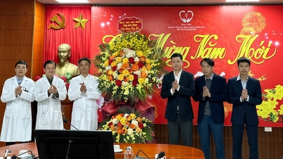 La secrétaire adjointe du Comité provincial du Parti, Tran Huy Phuong, présente ses vœux de Nouvel An aux hôpitaux.