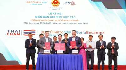 Développer le parc industriel Becamex VSIP Binh Dinh dans une direction verte et durable.