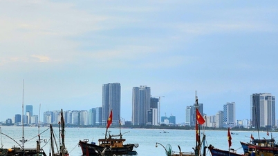 Stel een raad in om de stadsplanning van Da Nang te evalueren en te herzien.