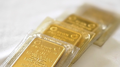 Gold price update for midday today, February 9, 2026: SJC gold price, 24k 9999 gold price, ring gold price, world gold price.