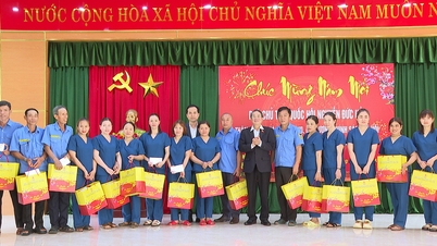 Vicevoorzitter van de Nationale Vergadering Nguyen Duc Hai betuigt zijn respect aan de overleden voorzitter van de Staatsraad Vo Chi Cong.