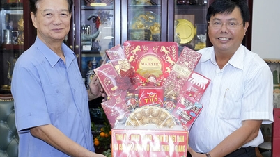 The Secretary of the An Giang Provincial Party Committee visits and extends New Year greetings to former central and local leaders in Ho Chi Minh City.