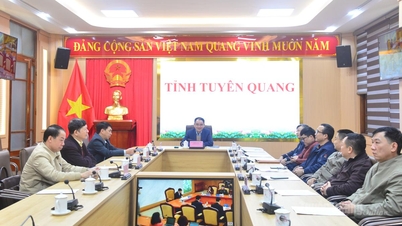 Konferensi untuk melaksanakan, meninjau, dan menyesuaikan rencana Sensus Ekonomi Umum 2026.