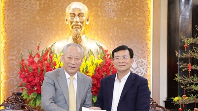 ປະທານຄະນະກຳມະການປະຊາຊົນແຂວງເລີມດົ່ງໄດ້ພົບປະສັງສັນ ແລະ ເຮັດວຽກກັບກຸ່ມບໍລິສັດໂຕເຖື້ອງ.
