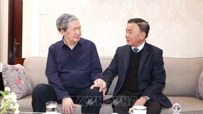 นาย Tran Cam Tu สมาชิกถาวรของสำนักเลขาธิการคณะกรรมการกลางพรรค เยี่ยมเยียนและอวยพรปีใหม่แก่อดีตผู้นำพรรคและรัฐ