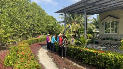 Xuân về trên những tuyến đường quê