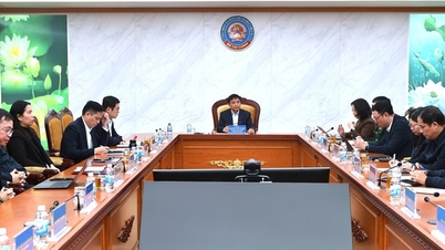 Asigurarea progresului și a calității recensământului economic.