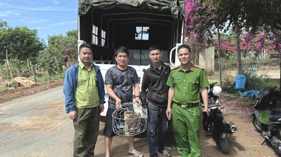 អ្នកស្រុកបានប្រគល់ស្វាដ៏កម្រពីរក្បាលដោយស្ម័គ្រចិត្តទៅឱ្យប៉ូលីសឃុំអៀនីង។