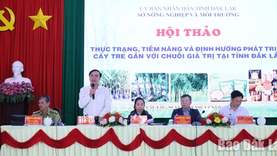 ដាក់ឡាក់៖ ឆ្ពោះទៅរកការកសាងខ្សែសង្វាក់តម្លៃប្រកបដោយចីរភាពសម្រាប់ឫស្សី។