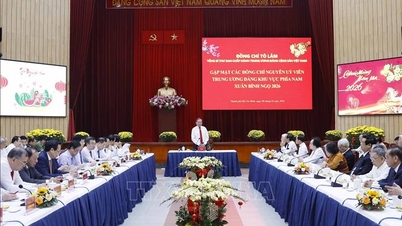 เลขาธิการใหญ่โต ลัม พบปะกับอดีตสมาชิกคณะกรรมการกลางพรรคจากภาคใต้