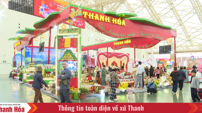 Hampir 25.000 pengunjung mengunjungi stan Thanh Hoa di Pameran Musim Semi.