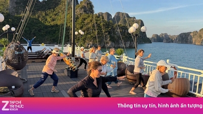Un viaje exclusivo para mujeres occidentales para explorar Vietnam.