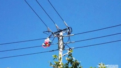 Beware of balloons and kites that can compromise the safety of electrical systems.