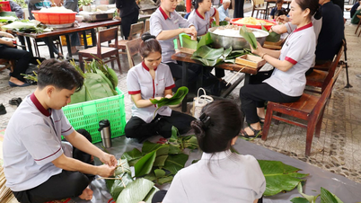 Khanh Hoa: Élénk banh chung (hagyományos vietnami rizssütemény) készítésének fesztiválja a 2026-os holdújév (a Ló éve) köszöntésére.