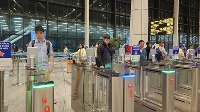 Đừng để trễ chuyến vì nhầm nhà ga Tân Sơn Nhất dịp Tết