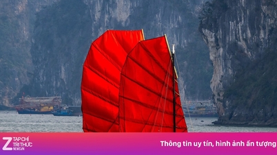 Les voiliers sont rares dans la baie d'Ha Long.