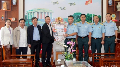 Vice Chairman of the Provincial People's Committee visits and extends New Year greetings to the armed forces.