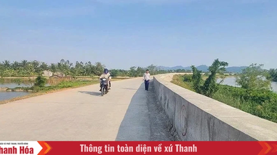 Regelgeving betreffende het beheer en de bescherming van dijksystemen van klasse IV en klasse V en zeedijken in de provincie Thanh Hoa.