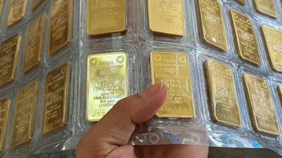 في صباح يوم 9 فبراير، تجاوز سعر سبائك الذهب SJC 181 مليون دونغ فيتنامي لكل تايل.
