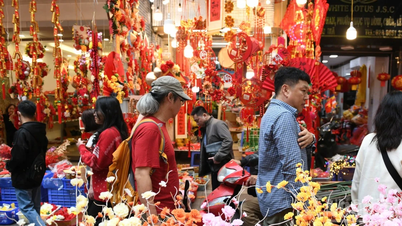 Spring Festival 2026: Vietnamese tourists enjoy a long holiday to celebrate Tet in their own way.