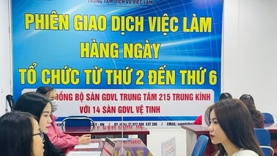 ទីក្រុងហាណូយនៅតែមានមជ្ឈមណ្ឌលផ្លាស់ប្តូរការងារចំនួន ៩។