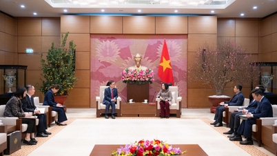Fortalecer aún más la cooperación entre Vietnam y Corea.