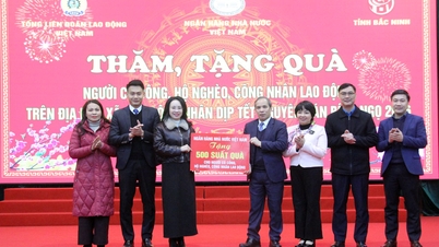 Sebanyak 500 paket hadiah liburan Tet diberikan kepada veteran perang, keluarga miskin, dan pekerja kurang mampu di komune Son Dong.